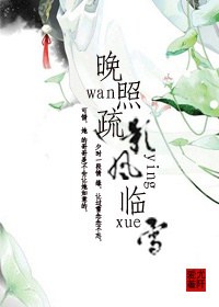 晚照疏影风临雪封面