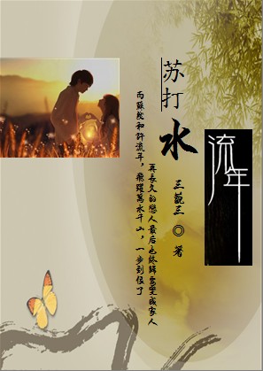 苏打水流年封面