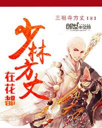 少林方丈在花都封面