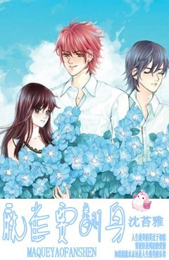 麻雀要翻身封面