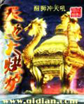 天地大烘炉封面