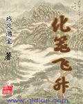 化器飞升封面