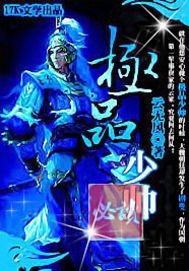 极品少帅封面