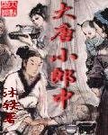 大唐小郎中封面