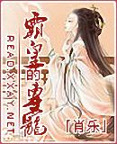 霸皇的专宠 霸皇的专宠