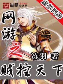 网游之贼控天下封面