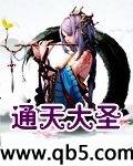 通天大圣封面