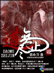 道无止尽封面