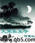 大宋私生子封面