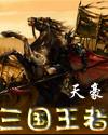 三国王者封面