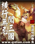 横行无忌闯三国封面