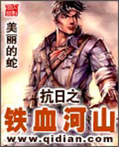 抗日之铁血河山封面
