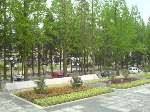 新绿散文诗世界 新绿散文诗世界