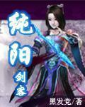 纯阳剑客 纯阳剑客