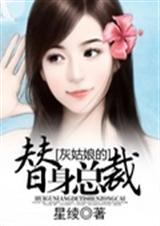 总裁玩婚自焚封面