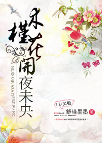 木槿花开夜未央封面