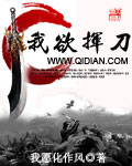 我欲挥刀封面
