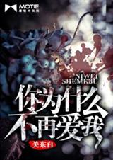 你为什么不再爱我封面