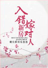 入错新房嫁对人封面