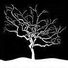 阳光的味道封面