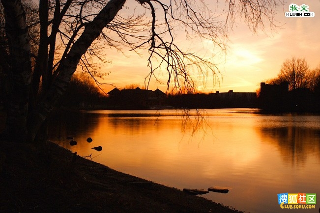 玫瑰啼痕,扇底烟花封面