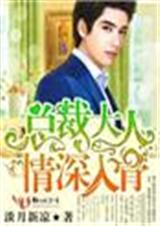 总裁大人,情深入骨封面