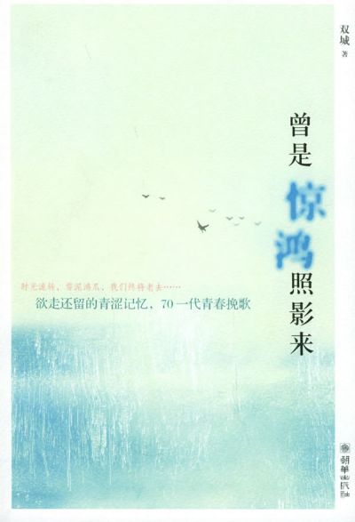 曾是惊鸿照影来 曾是惊鸿照影来