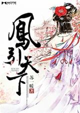 凤引天下封面