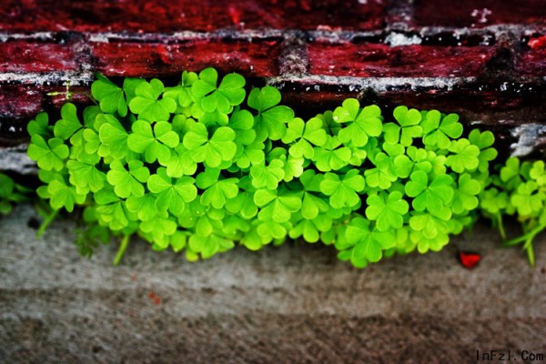 如此,如此爱 如此,如此爱