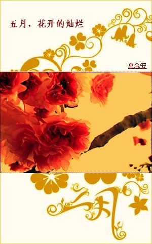 五月,花开的灿烂封面