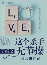 军婚之这个杀手无节操封面