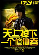 天上掉下一个修仙者 天上掉下一个修仙者