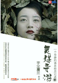 ���ι���