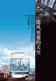 随风而逝的天空封面