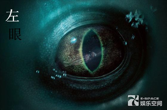 左眼 左眼