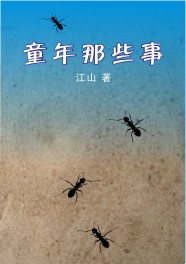 童年那些事封面