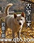 农家仙犬 农家仙犬