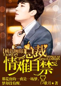 首席总裁,爱你入骨封面