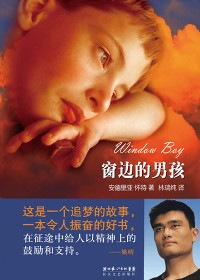 窗边的男孩封面
