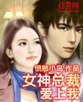 女神总裁爱上我 女神总裁爱上我