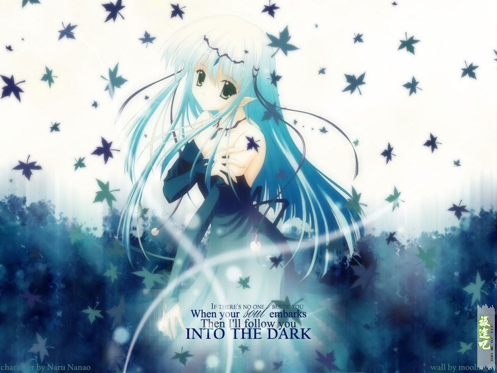 ����֮ʢ������Ԩ���ѩӣ������