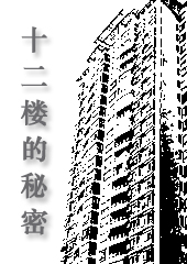 十二楼的秘密封面