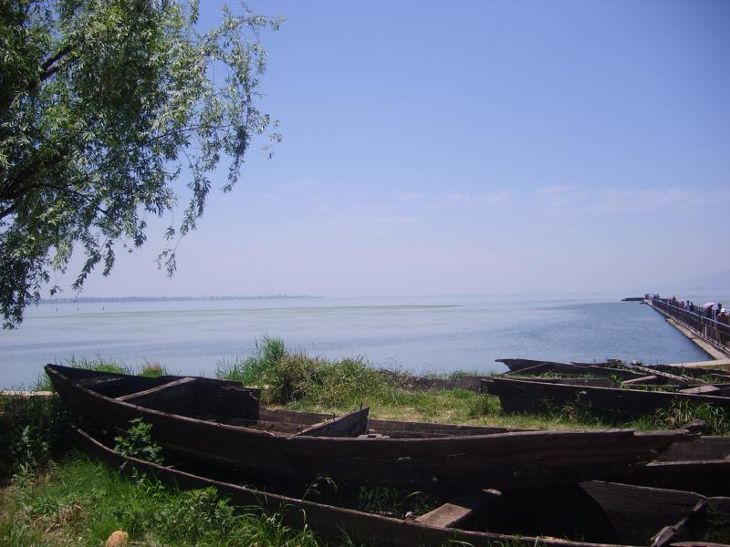 止爱之殇 止爱之殇