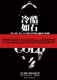 冷战中美国政府的惊天秘密:冷酷如石封面