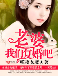 老婆,我们复婚吧!封面