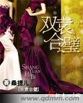 双袁合璧 双袁合璧