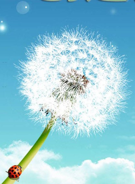 ˫������