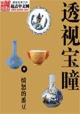 透视宝瞳封面