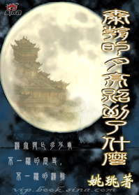 秦朝的月亮照到了什么?封面