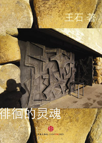 徘徊的灵魂封面